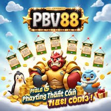 cvv6